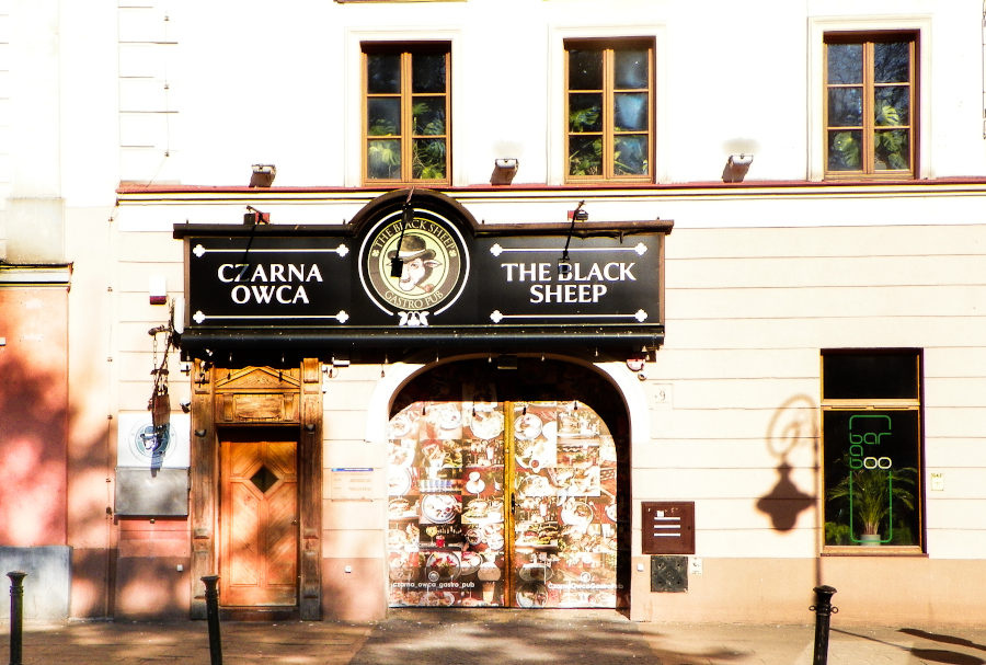 Na dobre piwo, dobry obiad lub burgera, możesz pójść do Gastro Pubu Czarna Owca w Lublinie