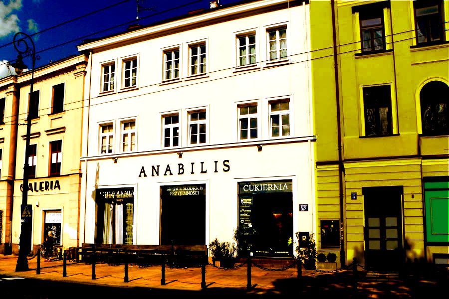 Anabilis, cukiernia i lodziarnia przy ul.Lubartowskiej 7 w Lublinie - zdjęcie do galerii